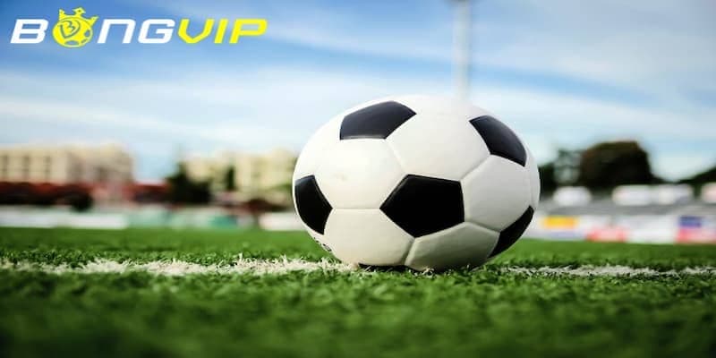 Bongvip Sports – Tiên Phong Trong Lĩnh Vực Giải Trí Trực Tuyến