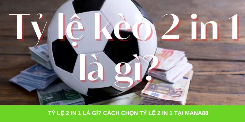 Tỷ lệ 2 in 1 là gì? Cách chọn tỷ lệ 2 in 1 tại Mana88