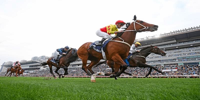 Bongvip - Trải nghiệm điểm chơi đua ngựa trực tuyến đỉnh cao